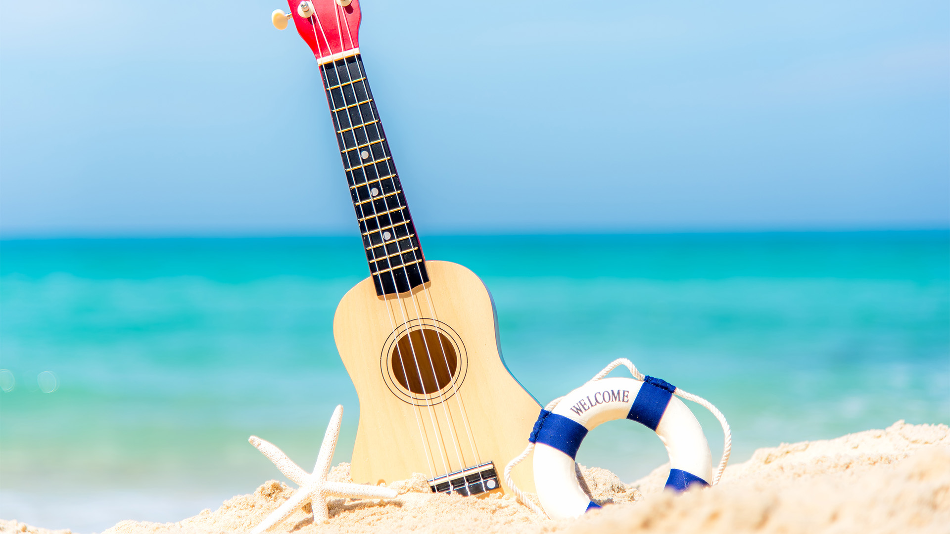 Sandy Beach Band