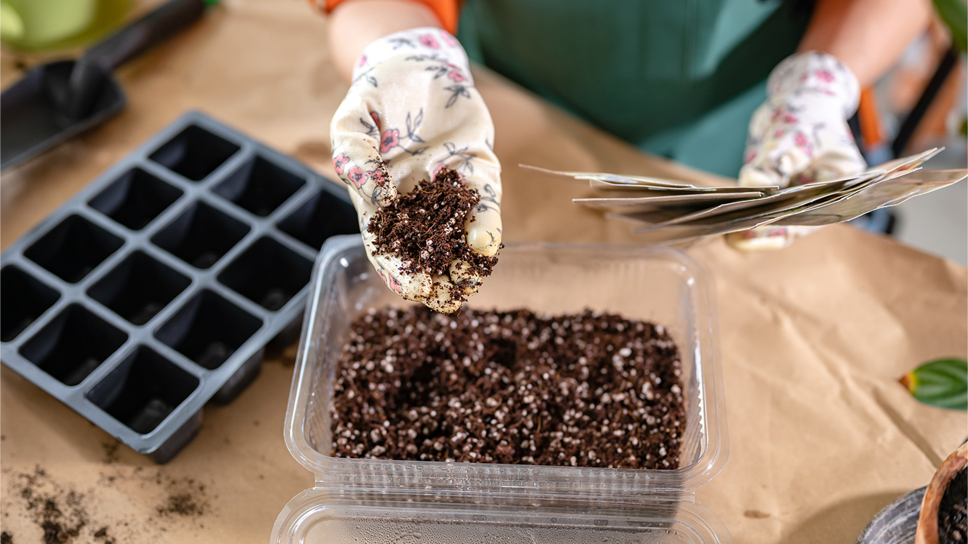 Seed Starting 101