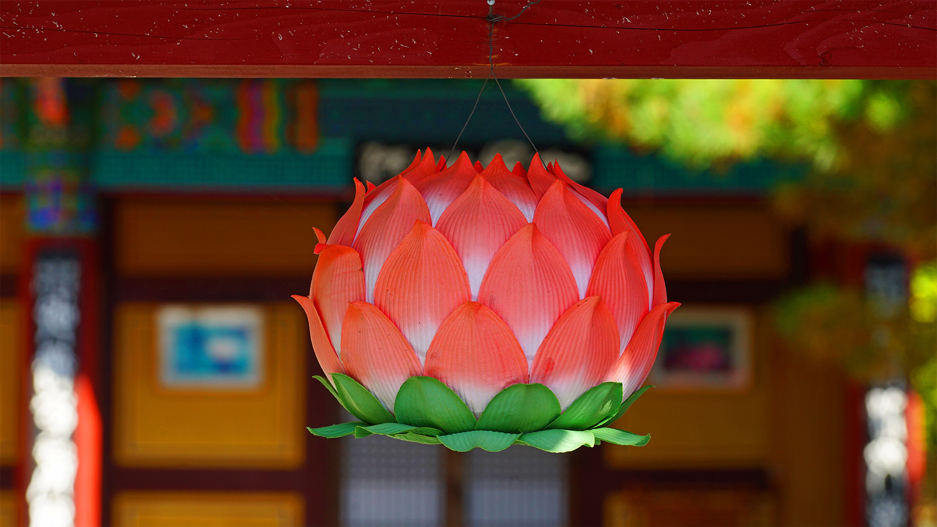 Lotus Lantern Workshop