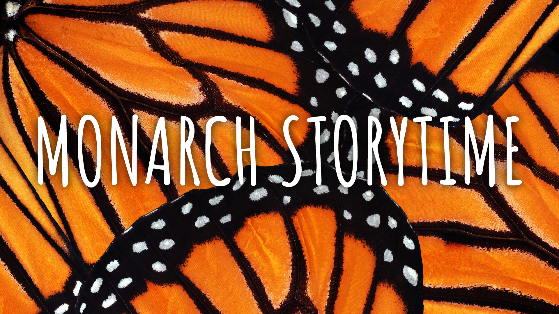 Monarch Storytime