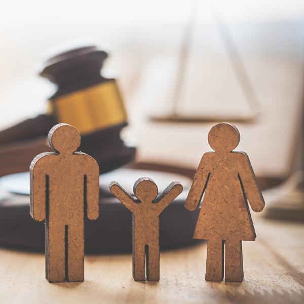 Image for event: Legal Planning for Families with Special Needs Children
