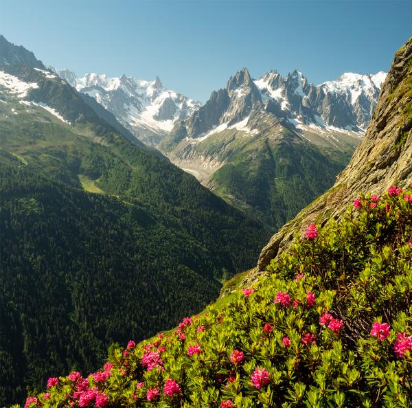 Image for event: Tenacious Tour du Mont Blanc 