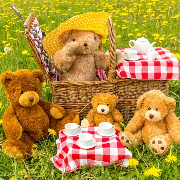 Image for event: Teddy Bear Picnic